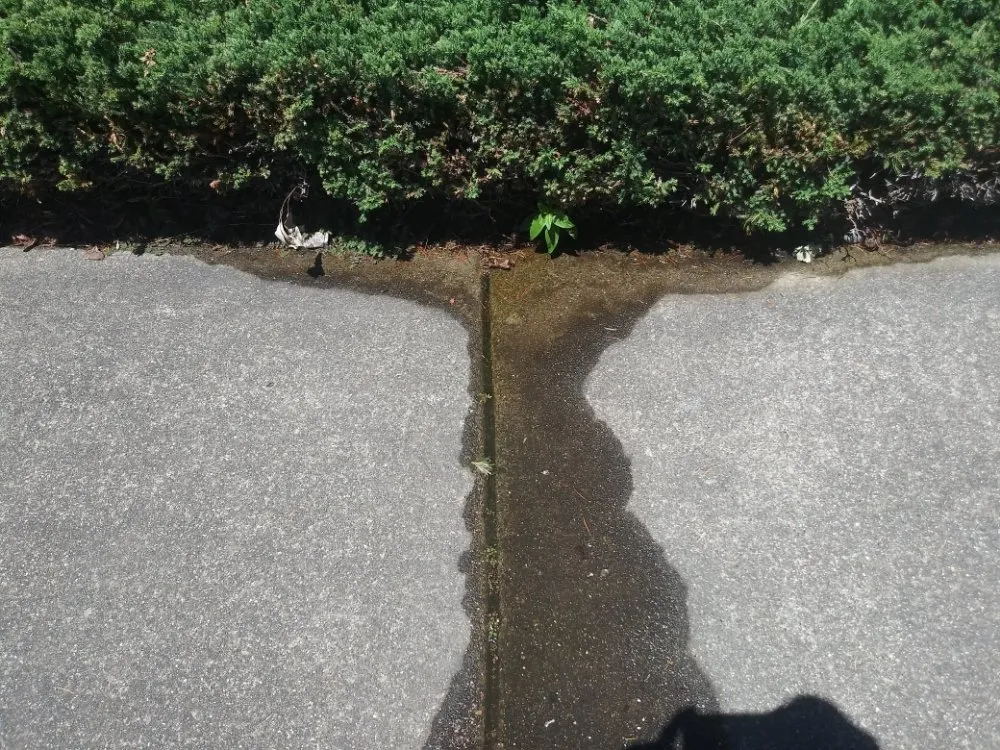 Quality emergency plumbing in Santa Rosa, CA by Sewer Line Survey