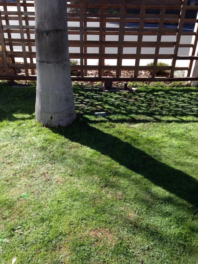 Professional leak detection in Woodland Hills, CA by Sewer Line Video Inspection Company