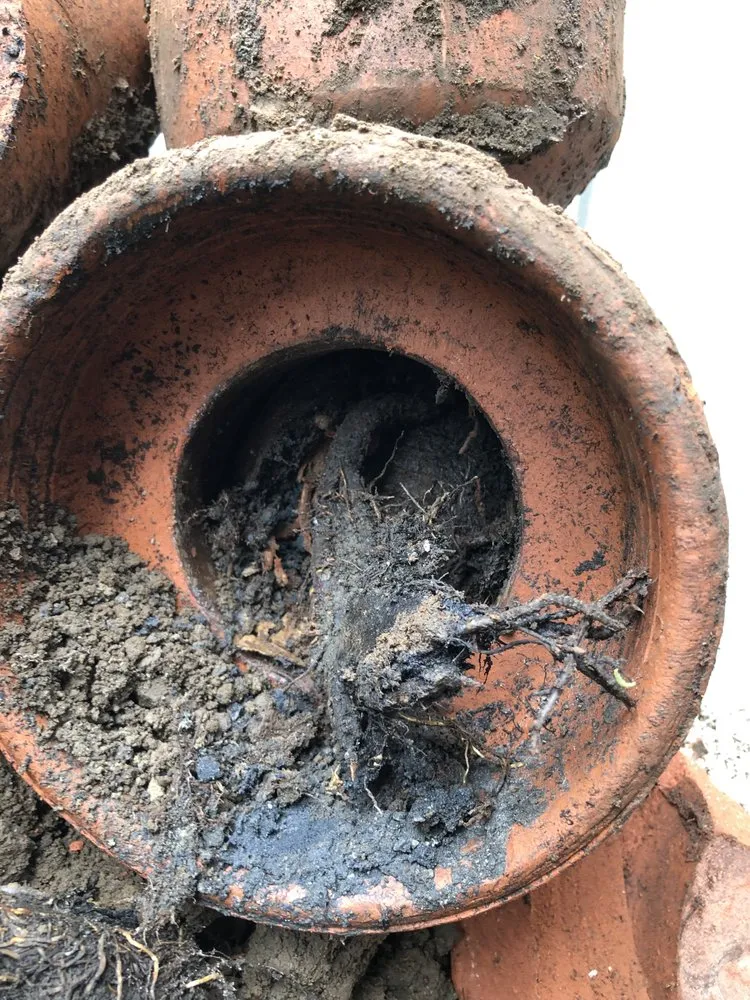 Slide of Sewer Man Rooter & Plumbing