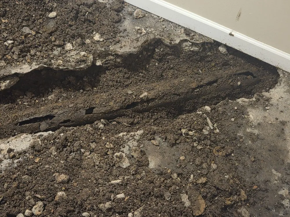 Slide of Sewer-Oscopy