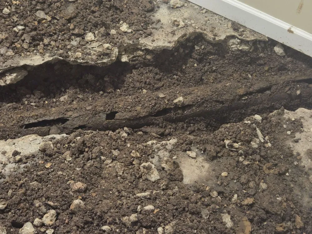 Slide of Sewer-Oscopy