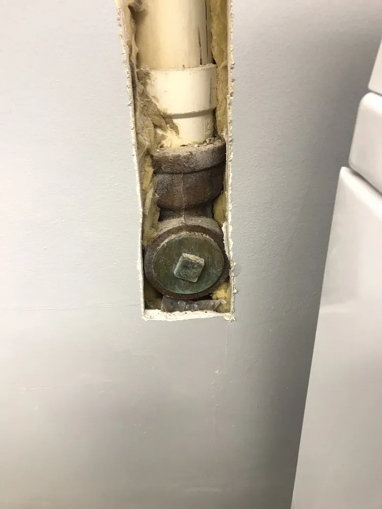 Slide of Sewer-Oscopy