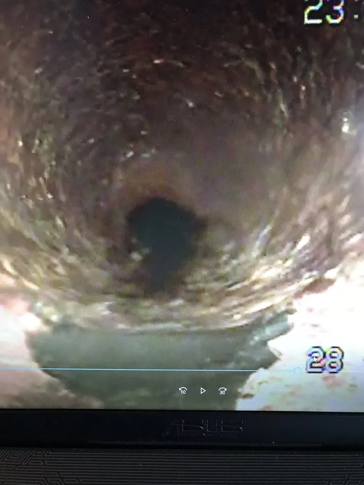 Slide of Sewer-Oscopy