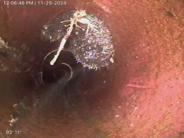 Slide of Sewer Pipe Pros