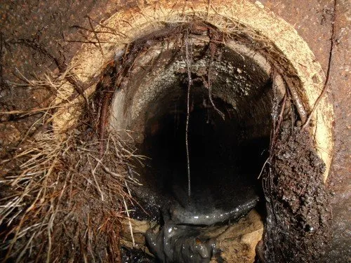 Slide of Sewer Renewal Specialists