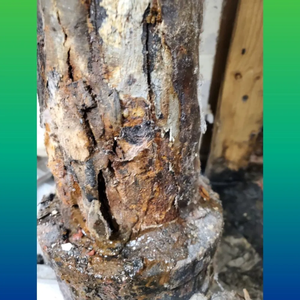 Slide of Sewer Slayer