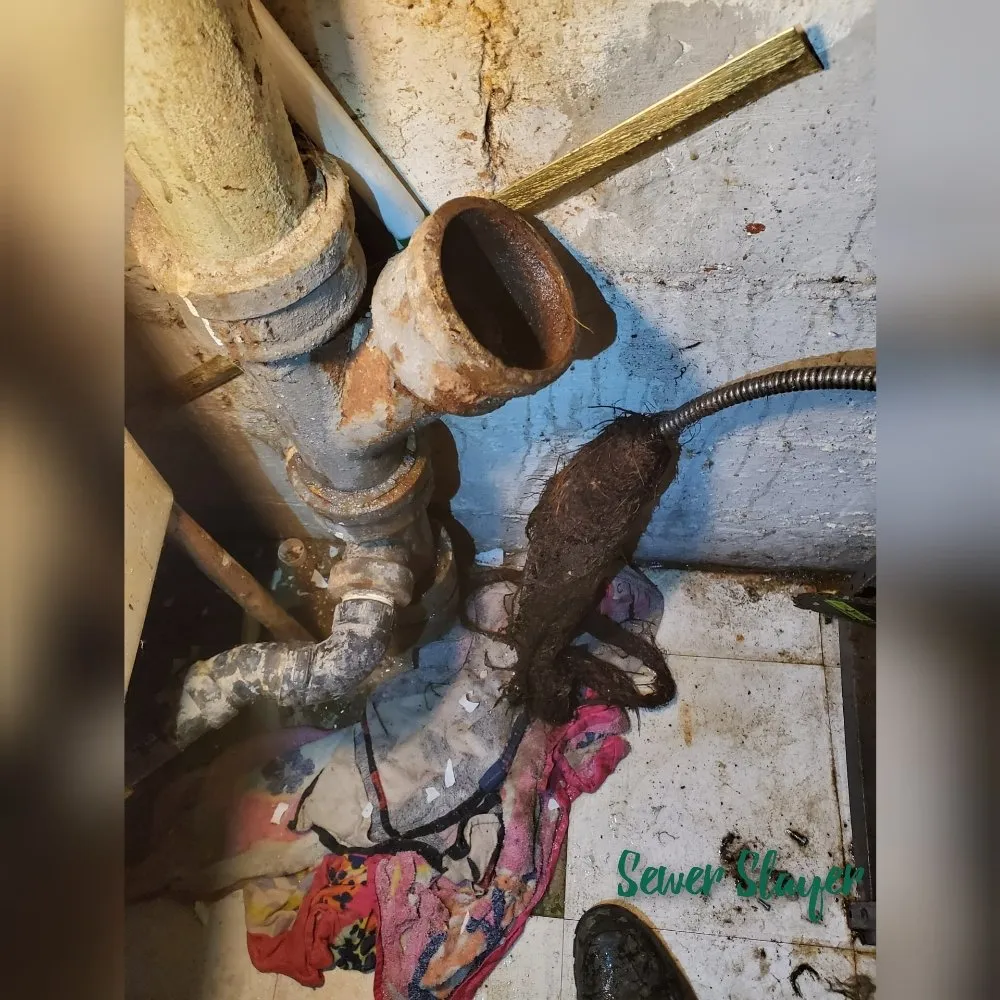 Slide of Sewer Slayer