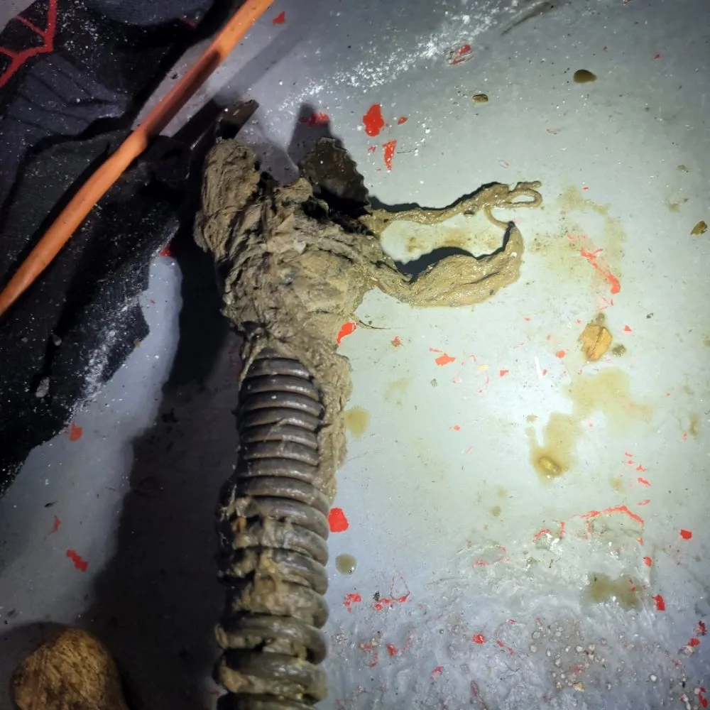 Slide of Sewer Slayer