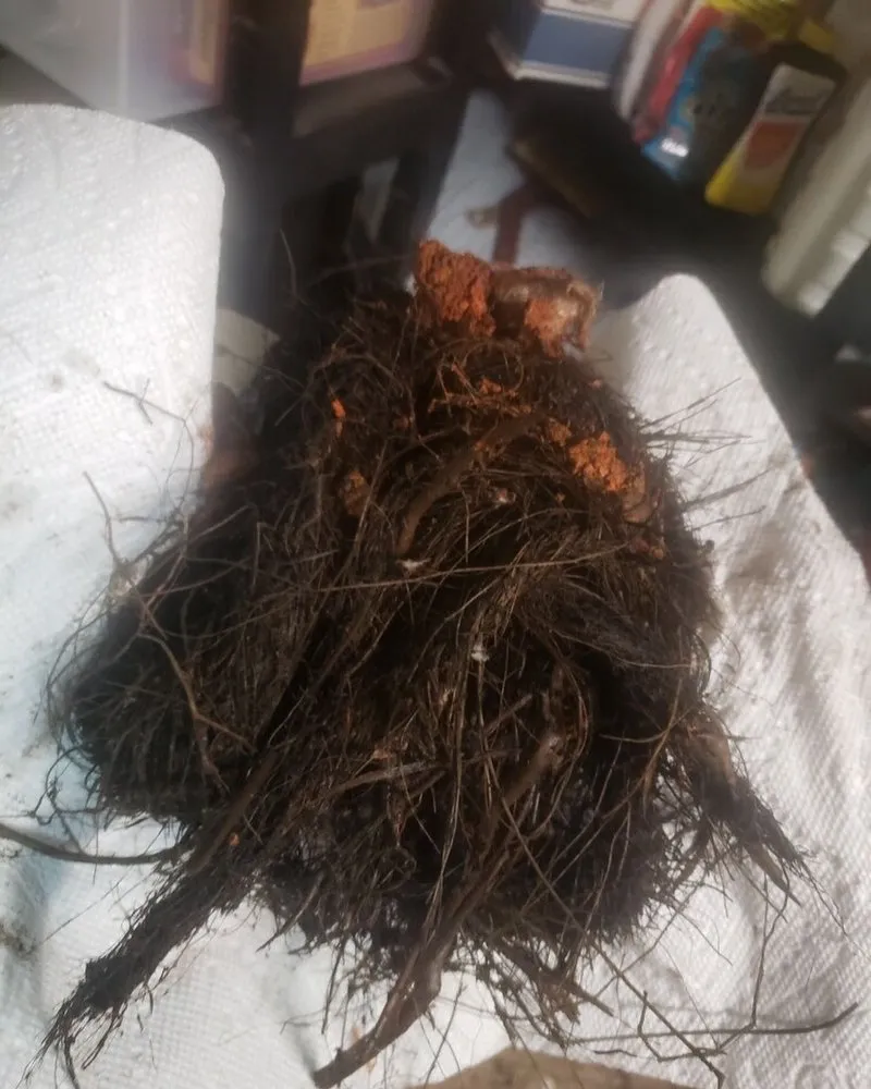 Slide of Sewer Solution Pros