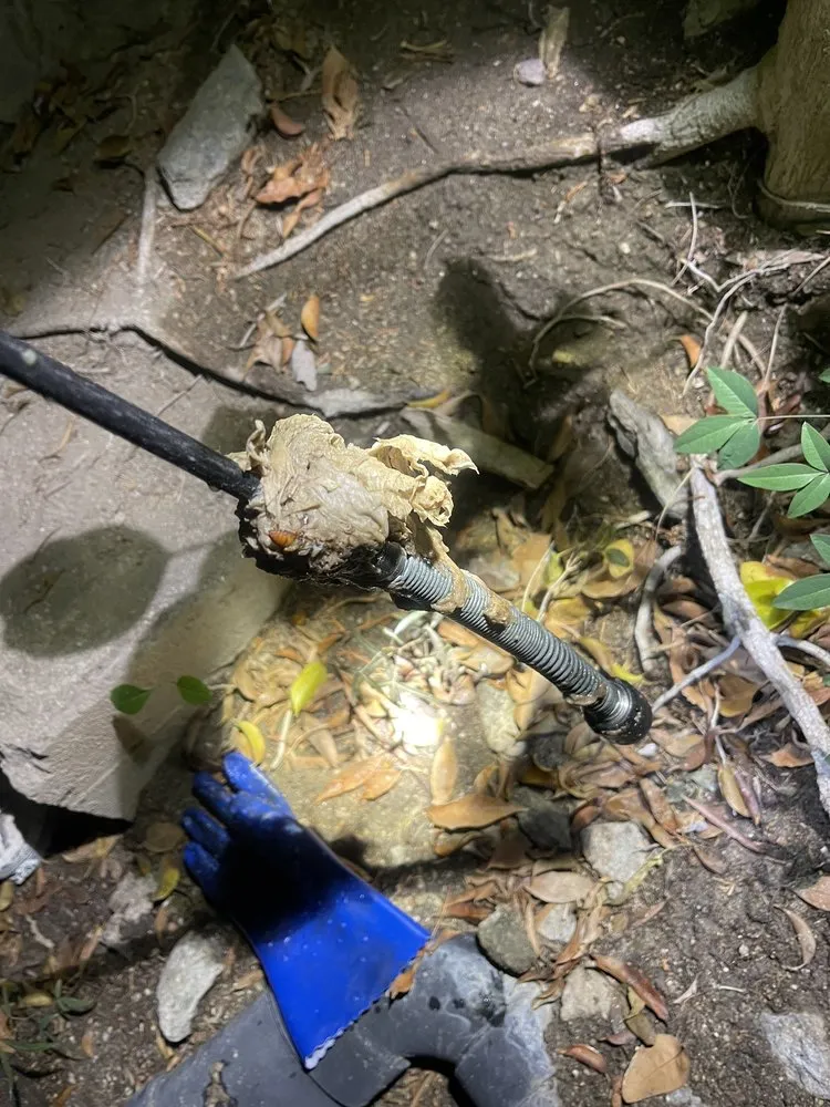 Slide of Sewer Specialist