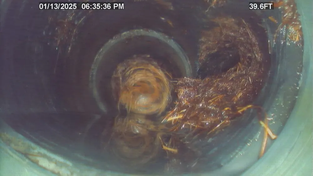 Slide of Sewer Specialist