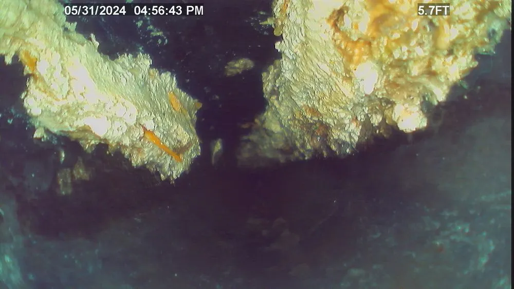 Slide of Sewer Specialist