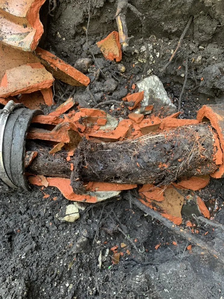 Expert leak detection service in St. Petersburg, FL - Sewer Squad