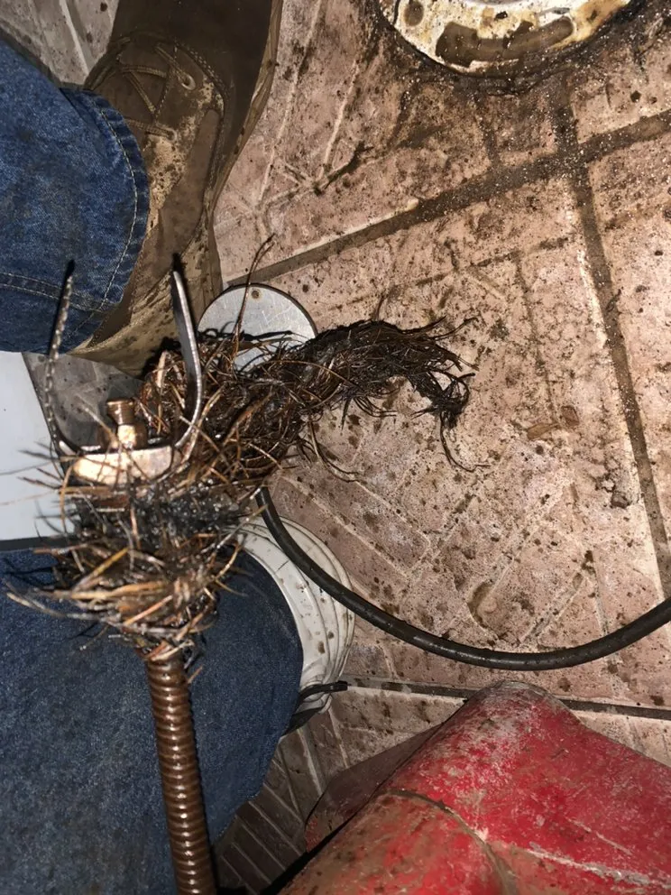 Trusted plumbing repair for homes in St. Petersburg, FL by Sewer Squad