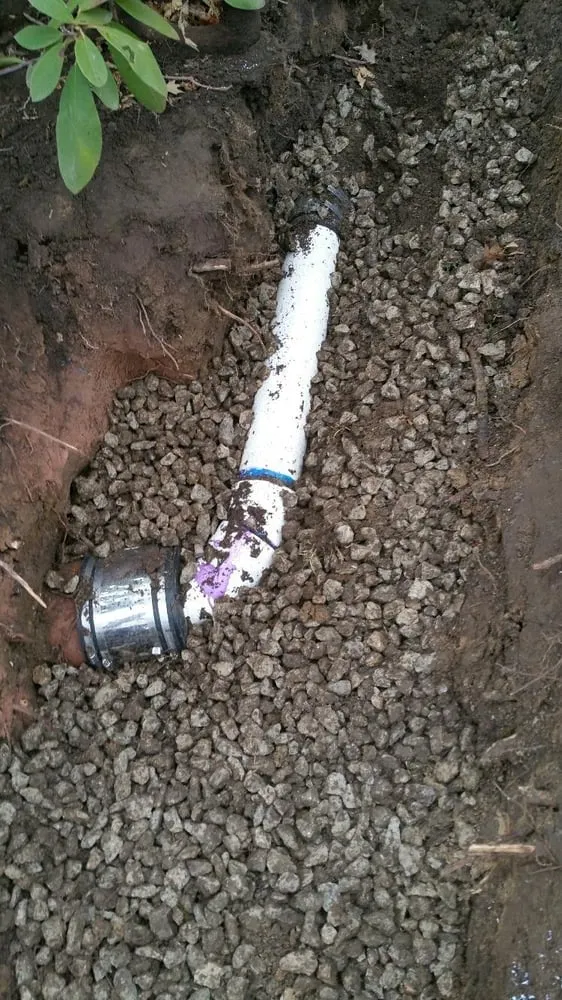 Slide of Sewer Surgeon