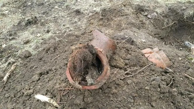 Slide of Sewer Surgeon