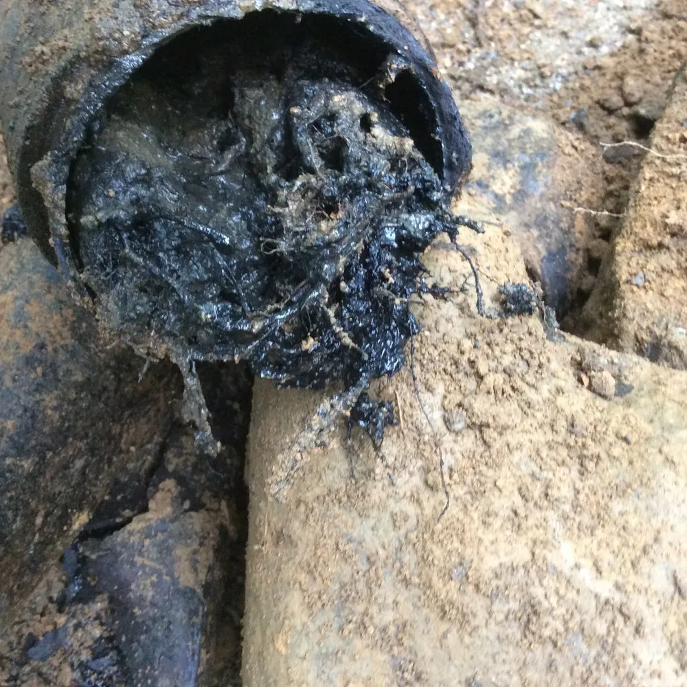 Slide of Sewer Surgeons