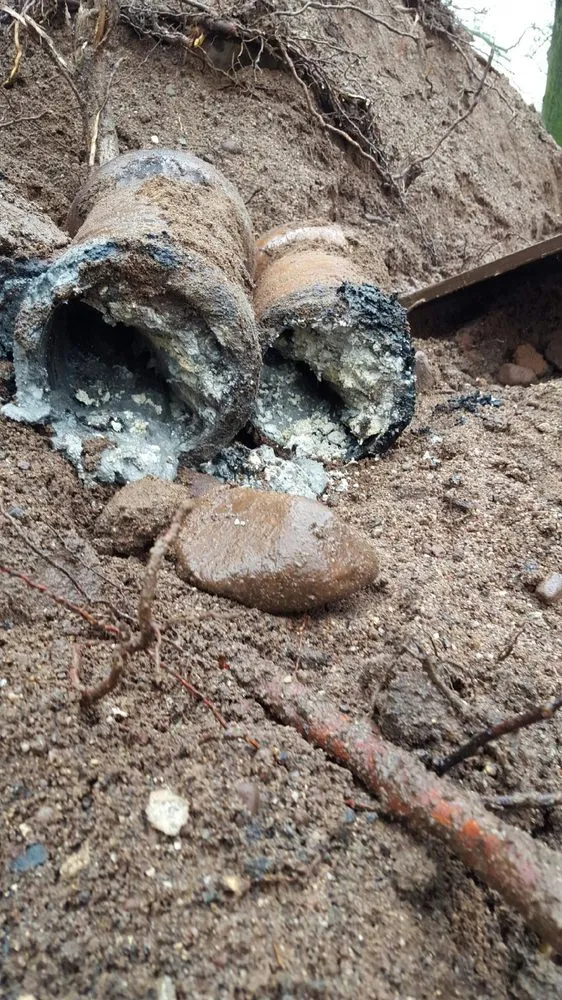 Slide of Sewer Surgeons