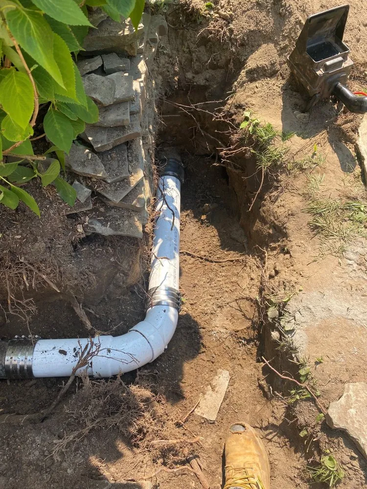 Slide of Sewer Surgeons