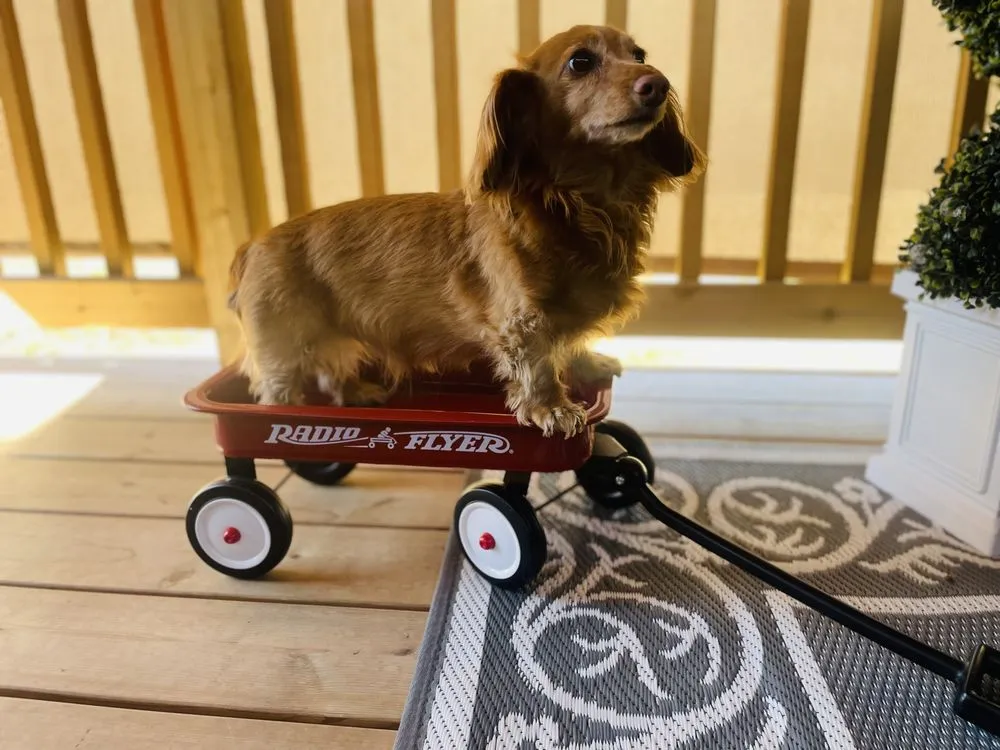Slide of Sewer Surgeons Nw