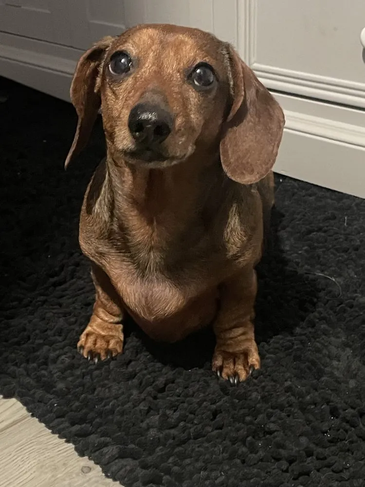 Slide of Sewer Surgeons Nw