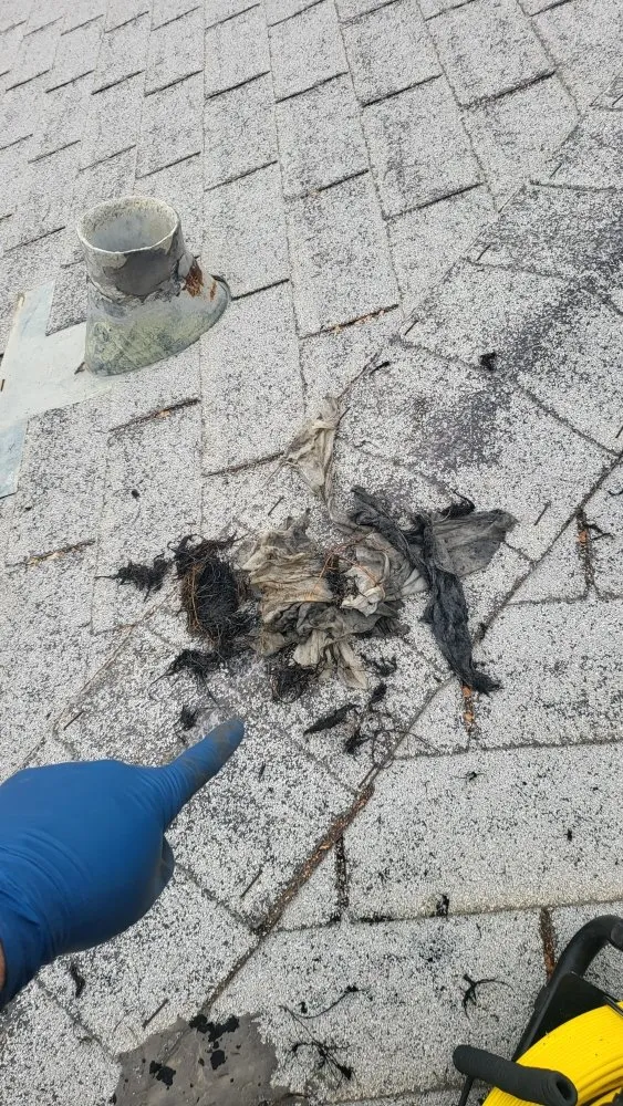 Slide of Sewers & Pipes Plumbing