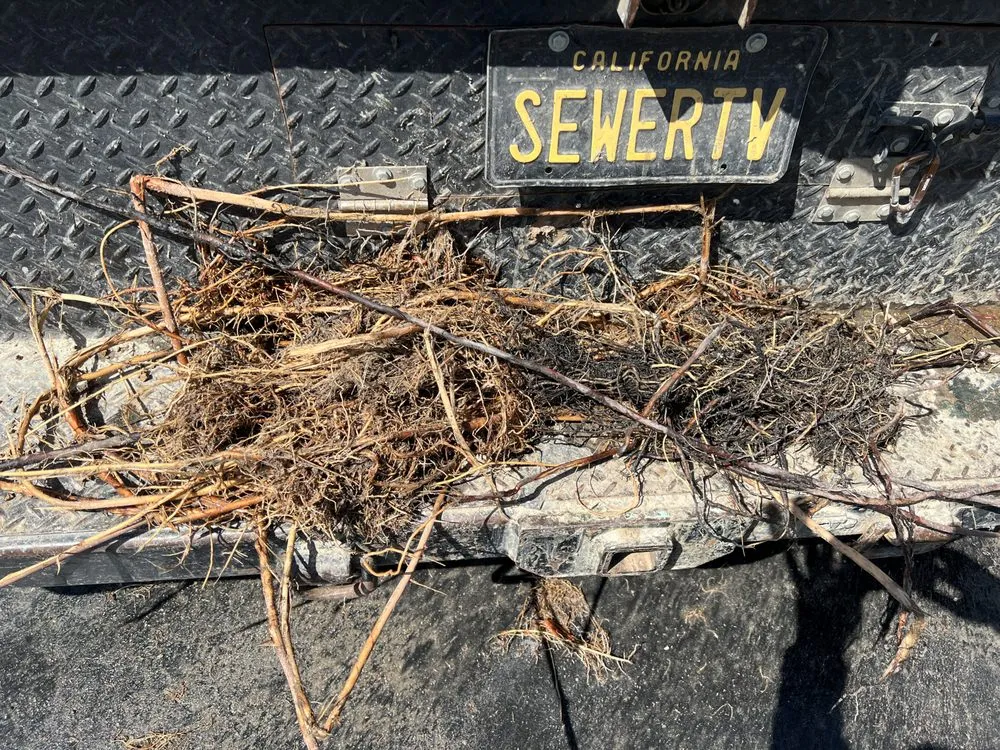 Slide of SewerTV Hydro Jetting and Plumbing