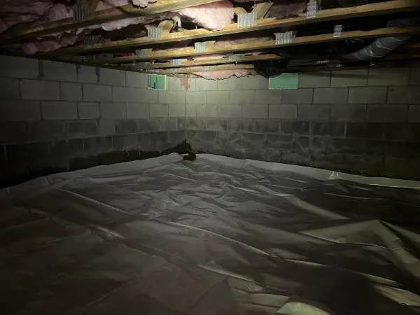 Quality drain cleaning experts serving Albany, NY - SG Basement Waterproofing