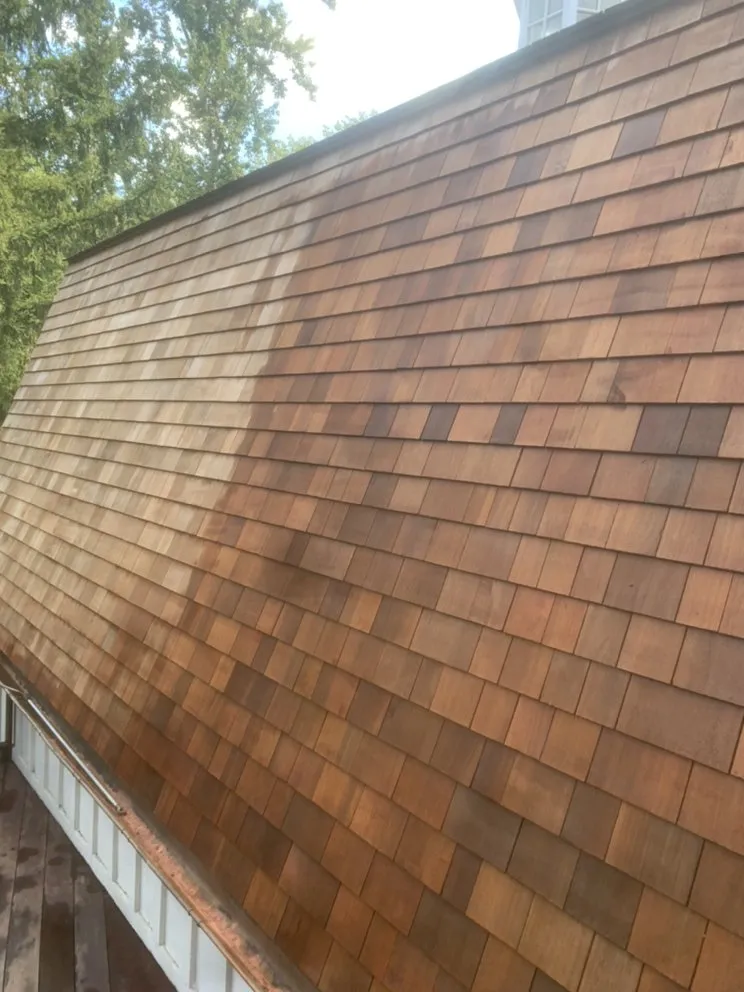 Slide of SGR Painting