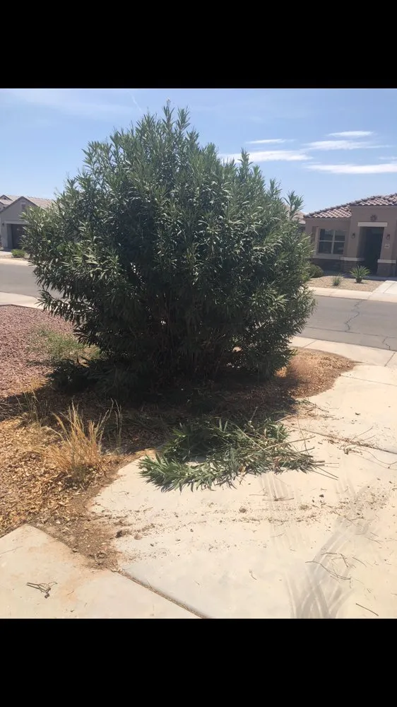 Slide of S&H Remodel and Maintenance