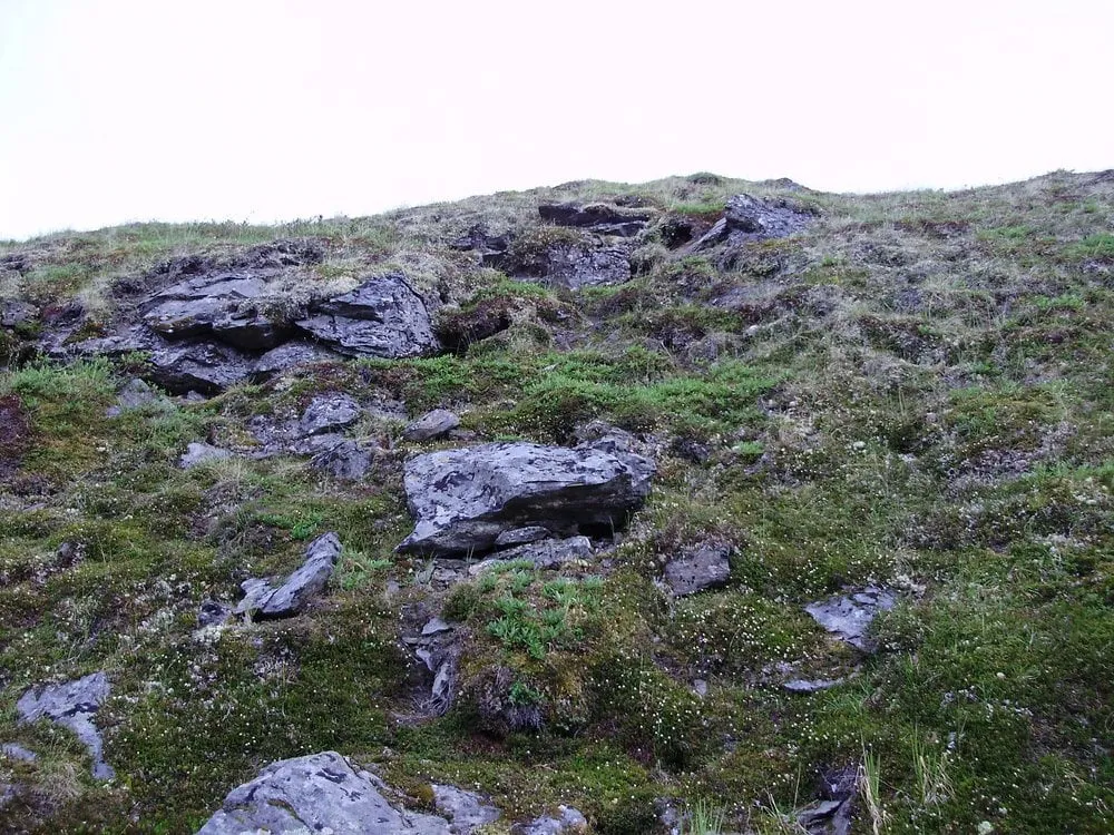 Slide of Shaddix and sons plumbing