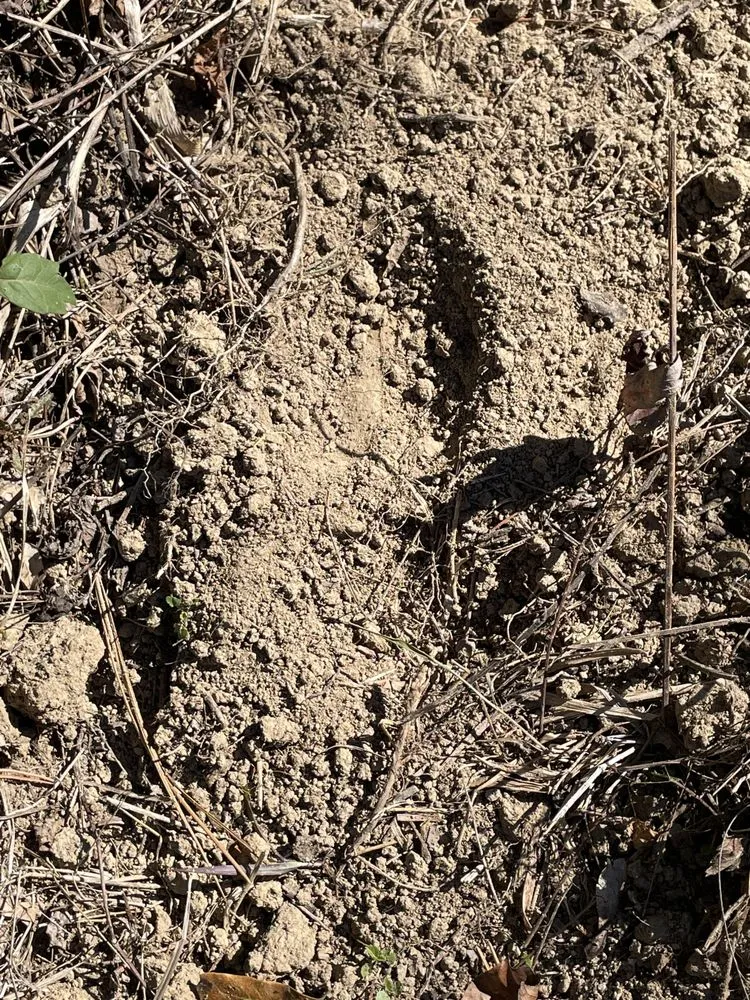 Slide of Shade Tree Landscaping