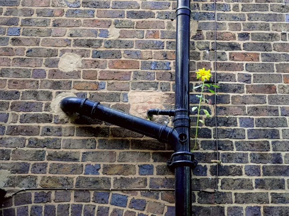 Slide of Shaffer's Drain Cleaning