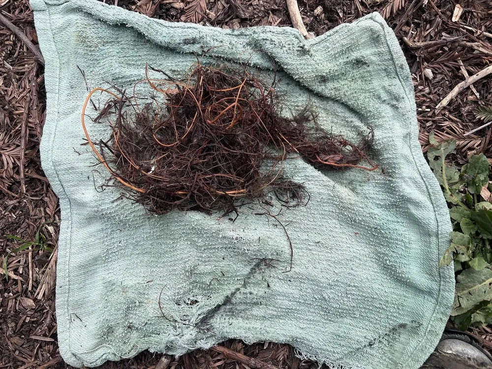 Slide of Shah Plumbing