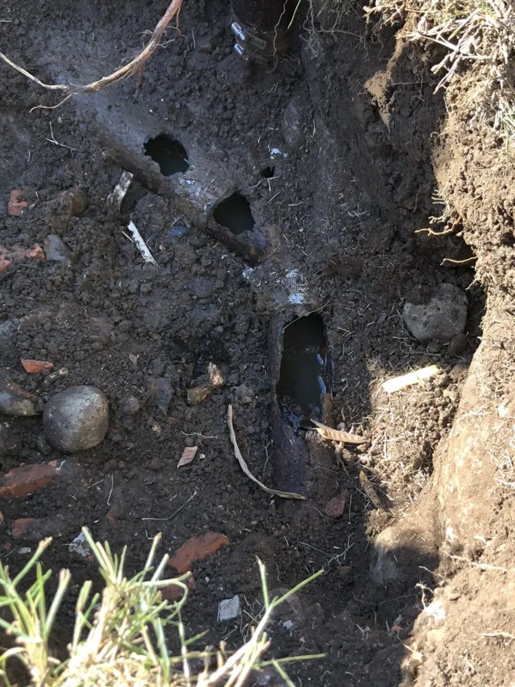 Slide of Shaka Plumbing