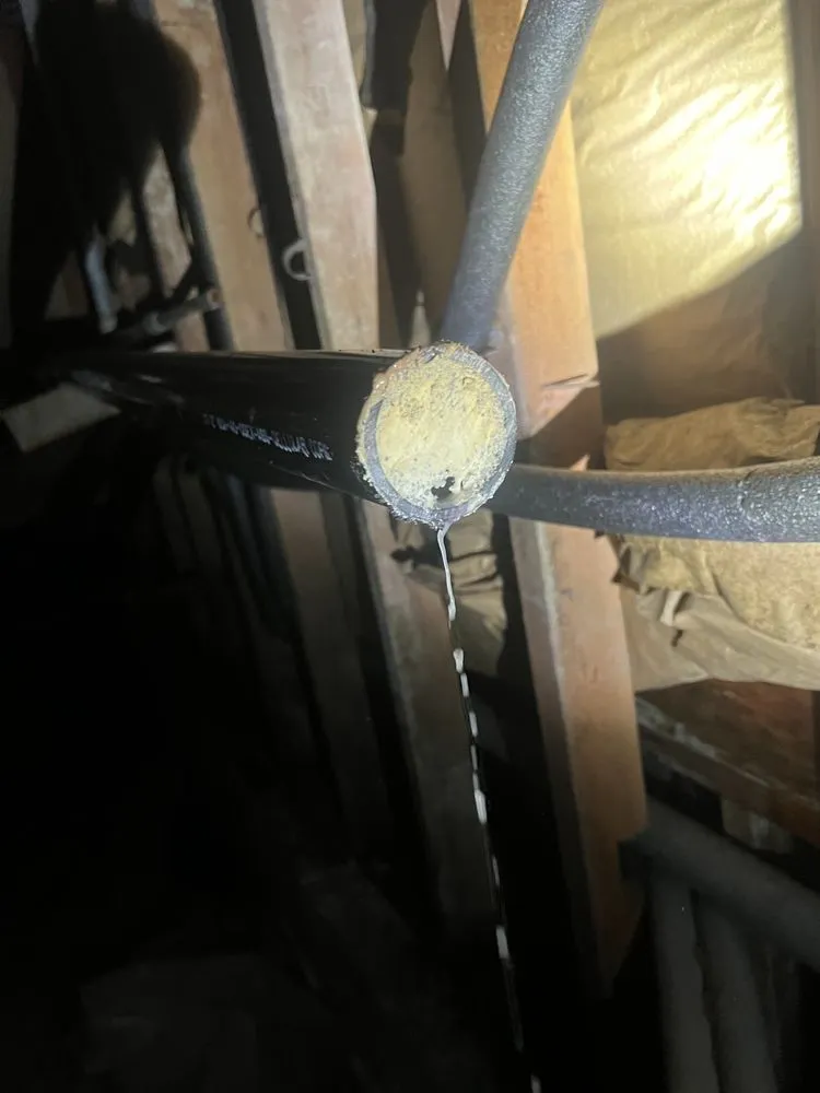 Slide of Shalom Plumbing