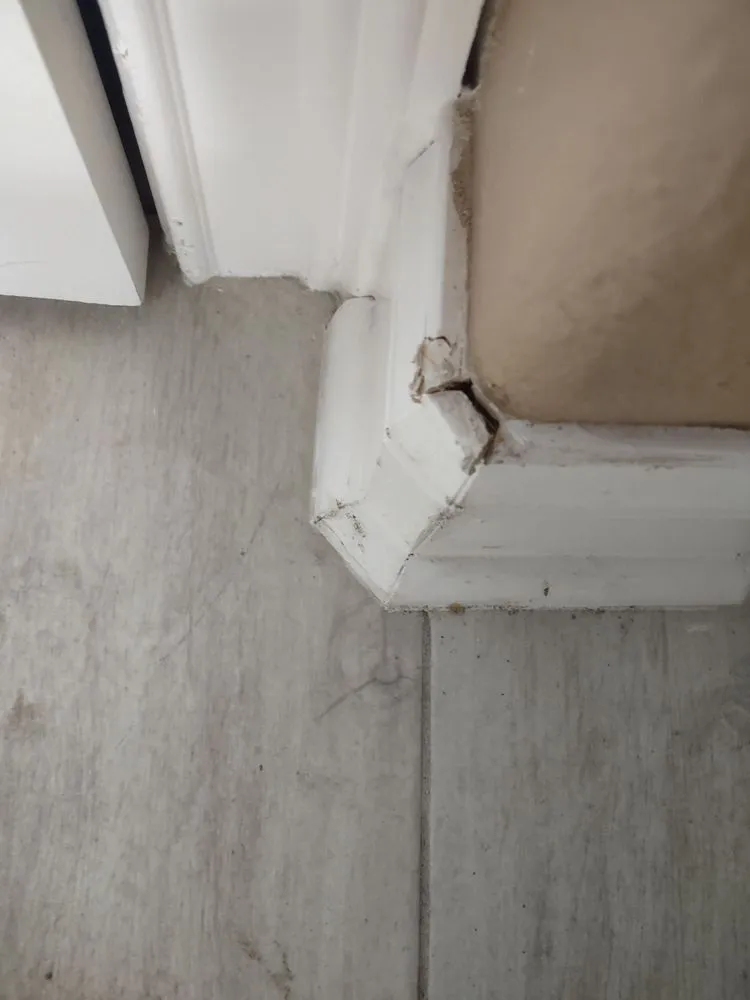 Slide of Shamrock Plumbing and Drain Cleaning