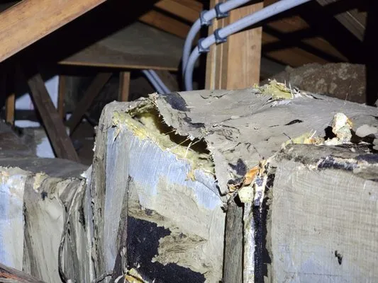 Shamrock Plumbing and Drain Cleaning Logo