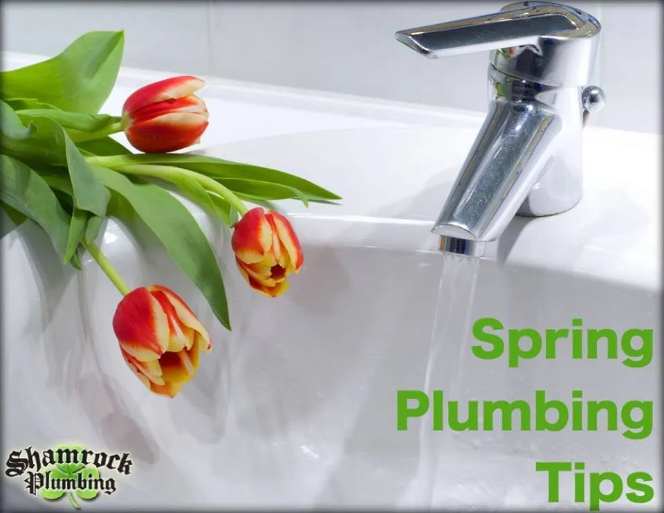 Slide of Shamrock Plumbing