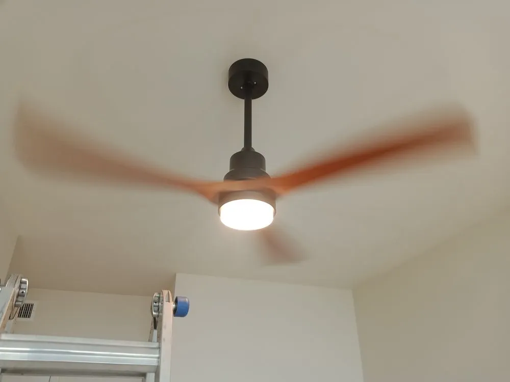 Slide of Shane Bledsoe