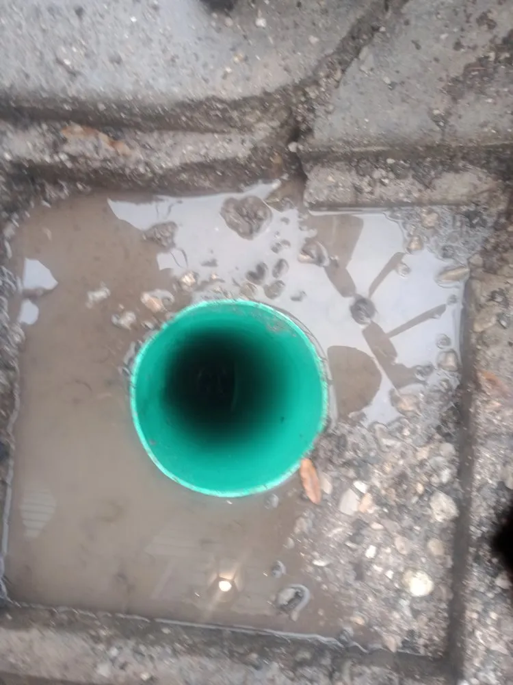 Slide of Shane Bledsoe