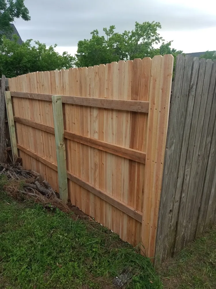 Slide of Shane Bledsoe