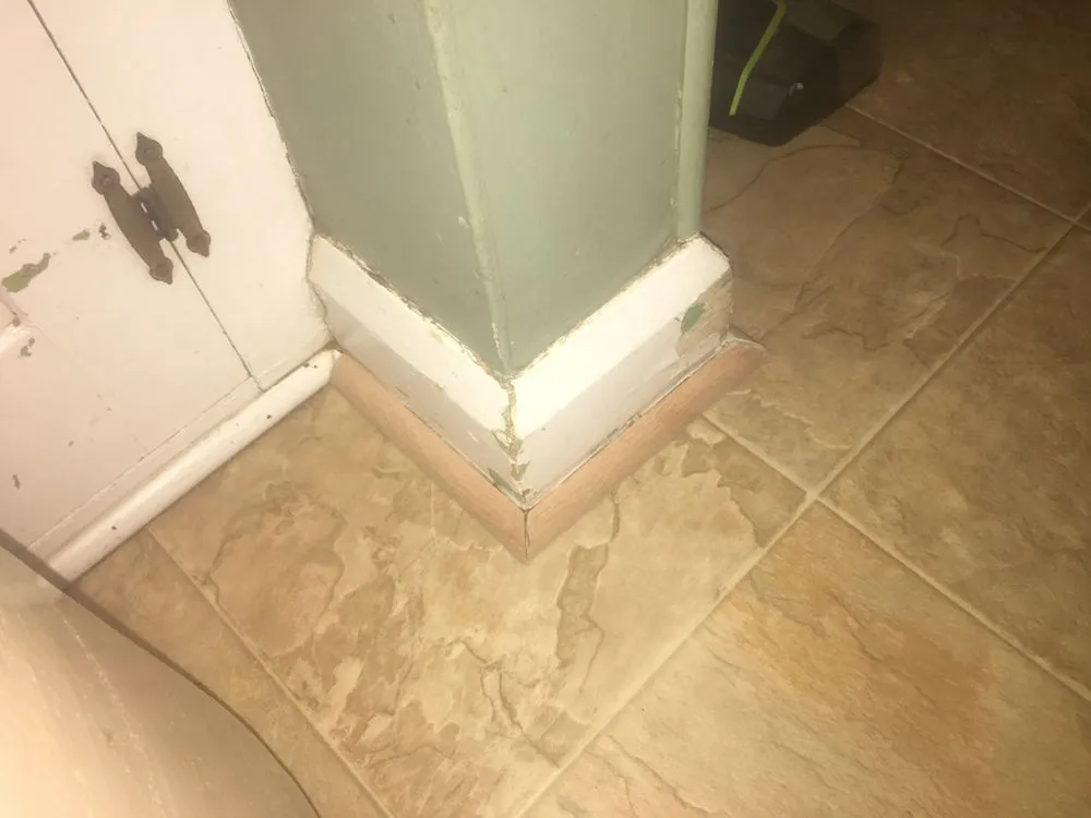 Slide of Shane’s All Around Improvements