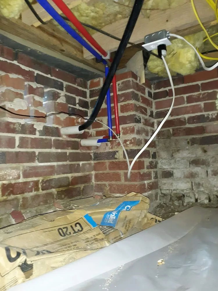 Slide of Shark Plumbing