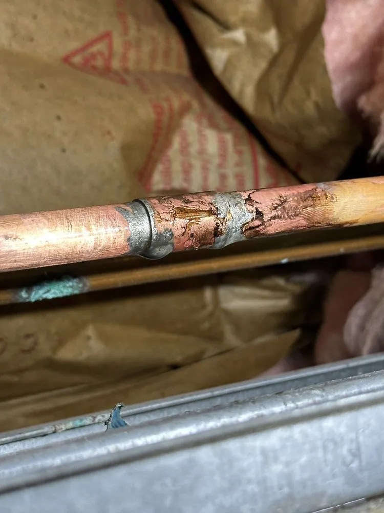 Slide of Shark Plumbing Services