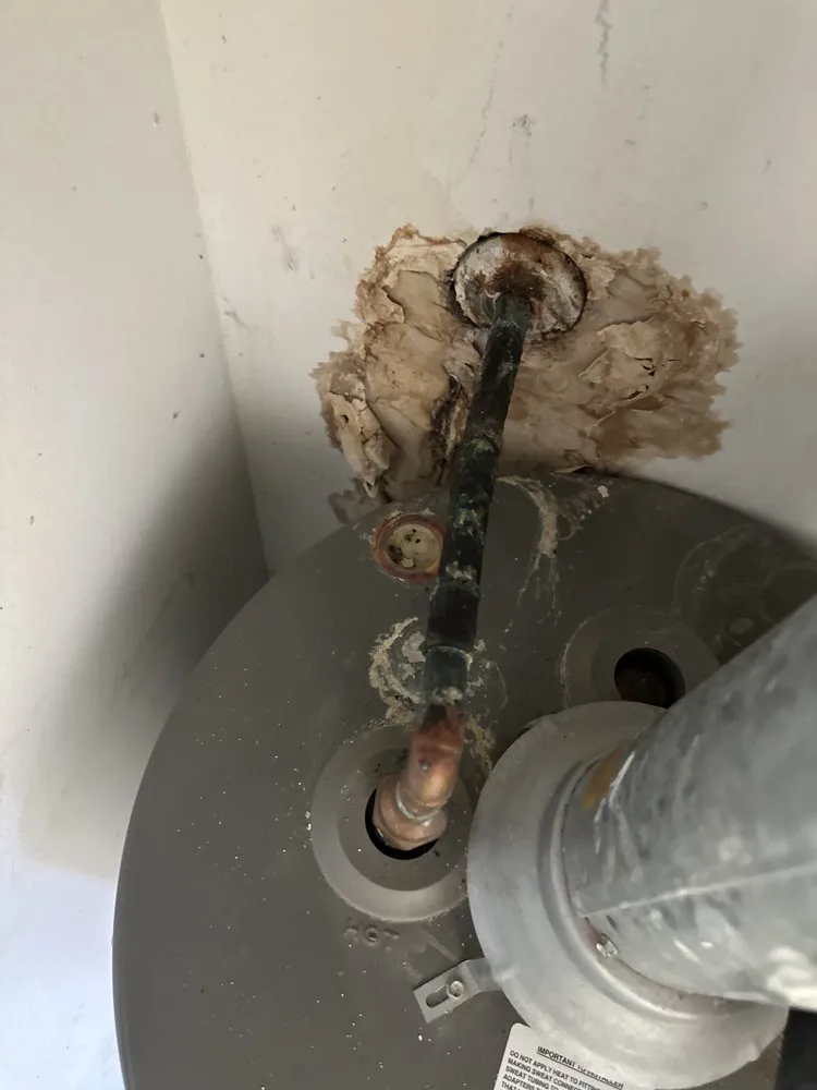 Slide of Shark Plumbing Services