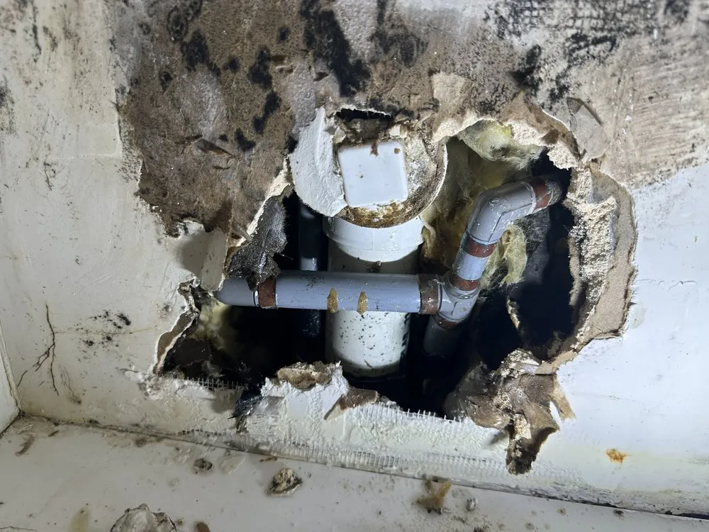 Slide of Shark Plumbing Services