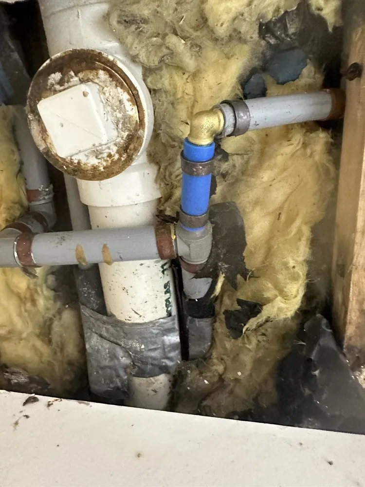 Slide of Shark Plumbing Services