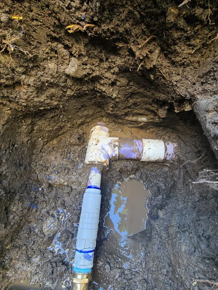 Emergency plumbing repair experts serving San francisco, CA - Sharky Plumbing 510 & Rooter