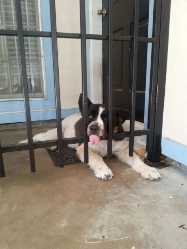 Slide of Sharpstown Best Handyman